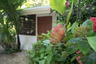 Jungle's Edge - Nosara - 8