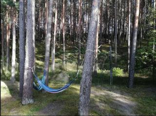 Holiday home near sea beach & pine forest - 1