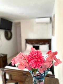 Hostal Casa Aldana - 1