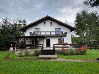 Vila Alunis 2 - Bran - 8