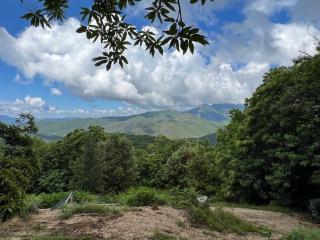 La Cabane enchantée, Mas Favières - 6