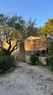 En Drome provençale mazet de charme avec piscine - 2