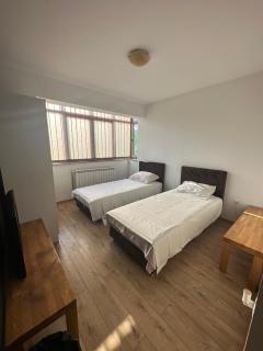 Aleja - Sarajevo - 8