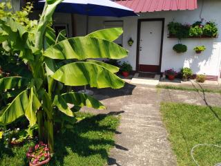 Blossom Cottage - 6