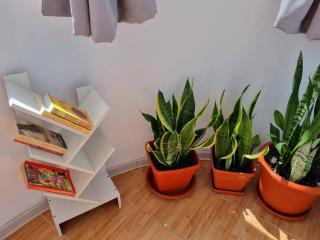 Constanta Studio 50mp - 8