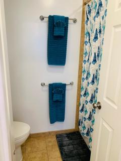 Blue Diamond Apt Unit 5 Judlee Ave - Ocean City - 2