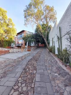 Laica House - San Miguel de Allende - 8