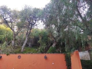 Laica House - San Miguel de Allende - 2