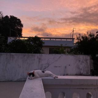 Stay JungEui - 6