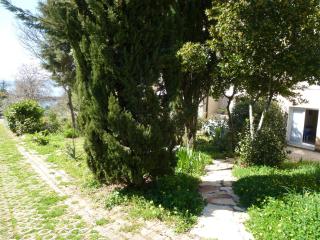 Studio Apartman Ruzmarin - Njivice - 2