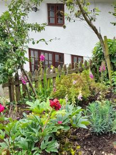 Delightful Devon Cottage - East Budleigh - 0