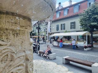Central House Seven - Sibiu - 8