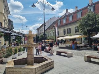 Central House Seven - Sibiu - 7