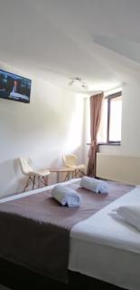 M7 Villa Bed& Bistro - Timișu de Jos - 4