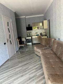 Nicola House in Borjomi - Borjomi - 5