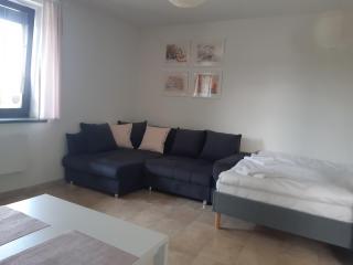Apartamenty Rodzinne Pilica PARK - Sulejów - 2