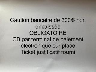 La Grande Escale des Brias - Saint-Martin-Lacaussade - 6