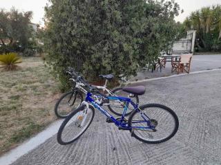 Dadee's Place - Città di Zante - 1