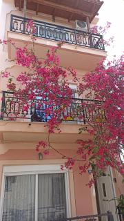 Bougainvillea apartment - Città di Zante - 8