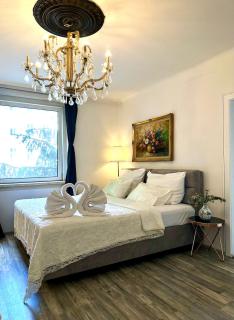 Central &cozy - Vienne - 0