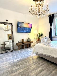Central &cozy - Vienne - 9