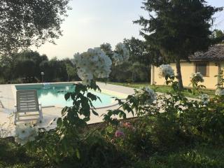 I Massi - San Michele in Teverina - 6