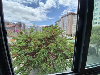 Zona Tranquila y Céntrica - 6