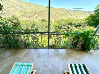 Guesthouse Mtkvari - Nak'alak'evi - 2