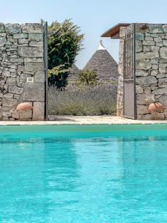 Masseria Pavone - Martina Franca - 5