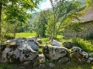 Gîte en pleine nature accès 4x4 ou à pied - Les Bordes-sur-Lez - 4