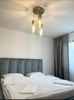 SAVAS KING BRASOV - 2