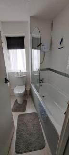 The Ugly Duckling - 3