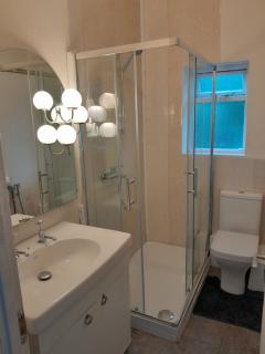 Large room near Singleton Hospital ensuite R6 - Swansea - 4