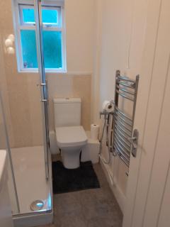 Large room near Singleton Hospital ensuite R6 - Swansea - 3