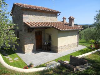 Selva degli Ulivi - Foiano della Chiana - 6