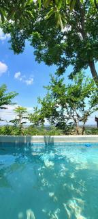 B&B Ma Maison - Govone - 5