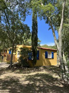 Gites de la Massane - Argelès-sur-Mer - 9