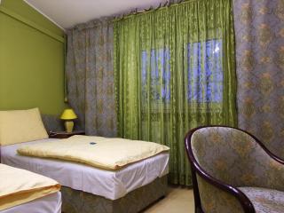 Bed & Breakfast Vila Stanišić - Požega - 4