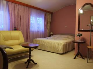 Bed & Breakfast Vila Stanišić - Požega - 3