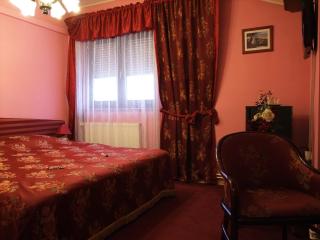 Bed & Breakfast Vila Stanišić - Požega - 6