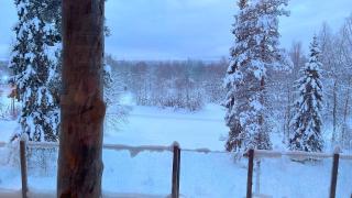 Luxury Log Villa by Invisible Forest Lodge - 2