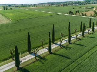 Casa Carlotta - Foiano della Chiana - 5