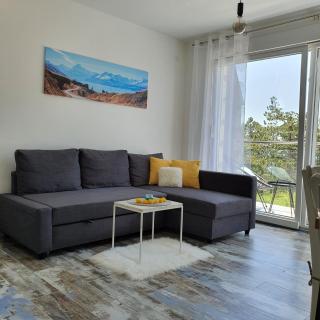 Apartman Zlatni breg Divčibare - Divčibare - 5
