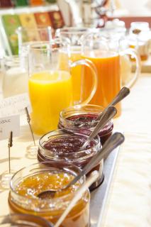 Hotel Stefanshof - Plaus - 4