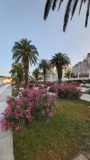 Studio Mali Jadran - 9