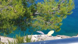 Holiday house Jakov - Gdinj - 9