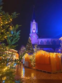 LE SCHMOUTZ: Charmant duplex entre Colmar et Mulhouse (1-4 pers) - Ensisheim - 1