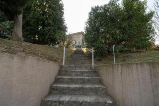 Villa Magnolie, accesso a lago - San Felice del Benaco - 1