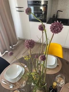 Apartman Sea story Mali Lošinj - Mali Lošinj - 1