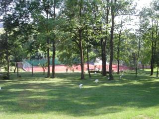 Chateau Radvanov Pension - Mladá Vožice - 6
